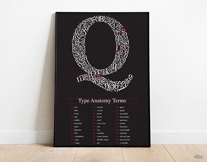 Type Anatomy Poster