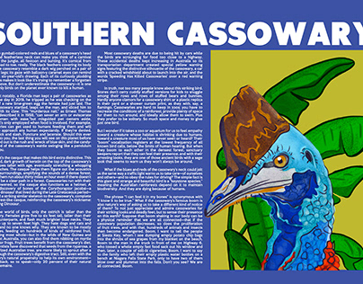 Southern Cassowary Layouts
