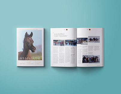 Arabische Volbloedpaarden Stamboek Magazine