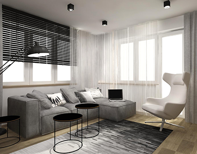 living room design~