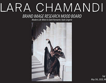 Brand Research: Lara Chamandi (Lingerie)