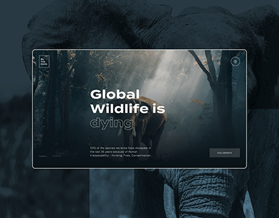 MTC Wildlife. Web Design & Responsive