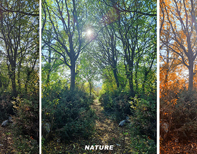 Nature - fall colors photoshop actions