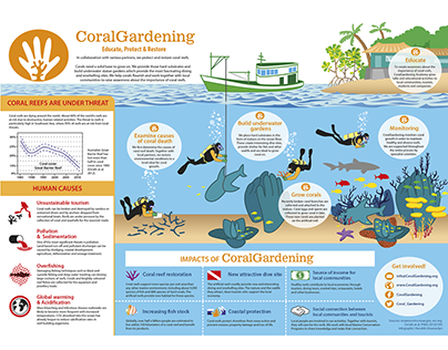 Infographic for Dutch ngo CoralGardening