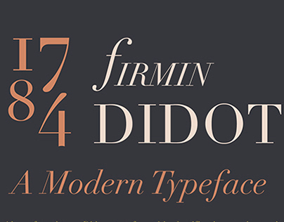 Didot: A Typeface Study