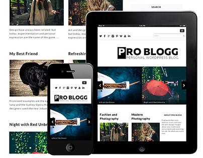 Pro blogg : Free Simple Blog WordPress Theme