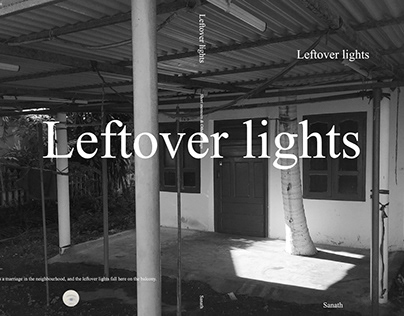 Leftover lights - Book