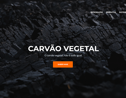Website Carvobrasa