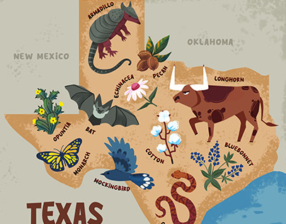 Illustrated map of Texas wildlife