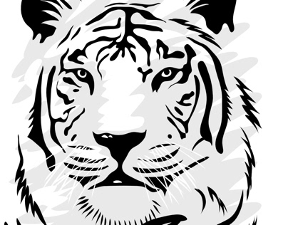 Tigre / Tiger