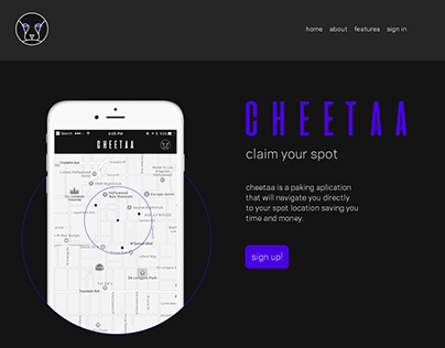 Cheetaa web design