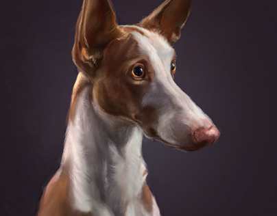Dog Portrait ( digital painting practice)