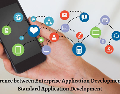 Enterprise and Standard Application Development