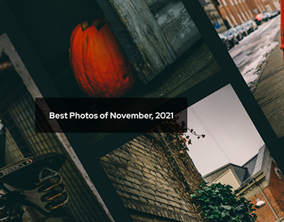 Best Photos from November 2021
