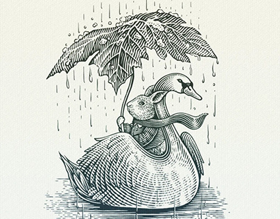 Swan illustration