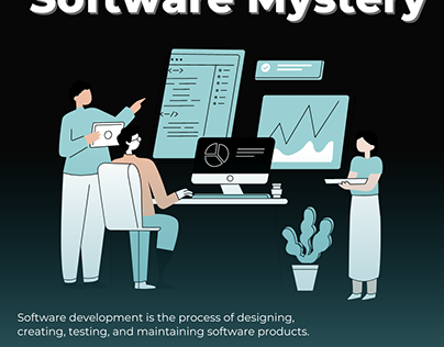 Software Mystery Cover
