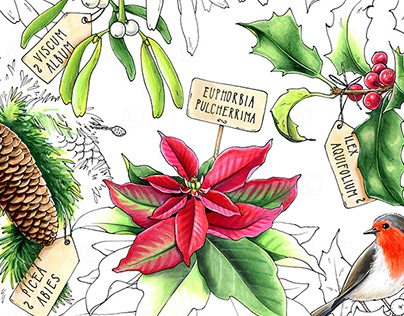 Botanical sketches #4