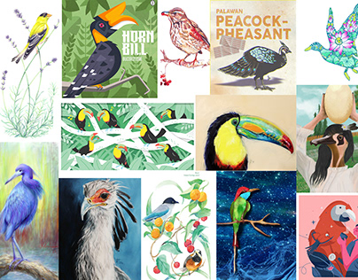 Art and Combinations - Birds from Around the World