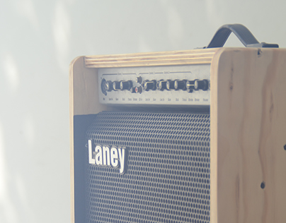 Laney AH100 - Custom
