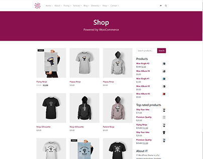 Shop Right Page - IT WordPress Theme