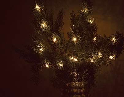 Christmas lights - 2023