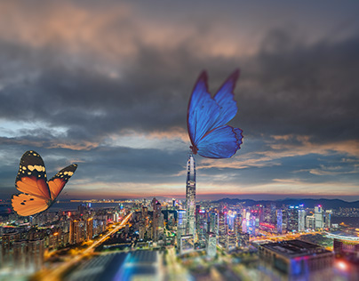 Dreamscape scene Butterfly in night Shenzhen city