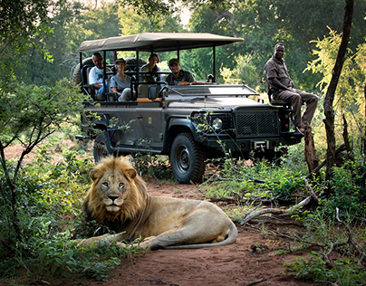Africa safaris holiday packages