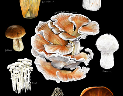 Mushroom Medley I