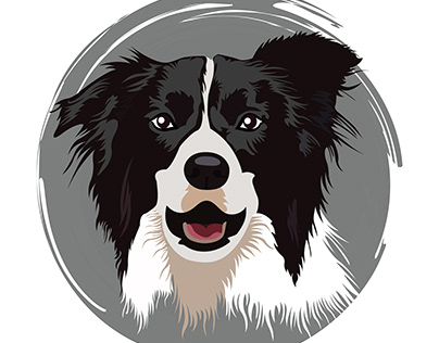 Project thumbnail - Border Collie Illustrations