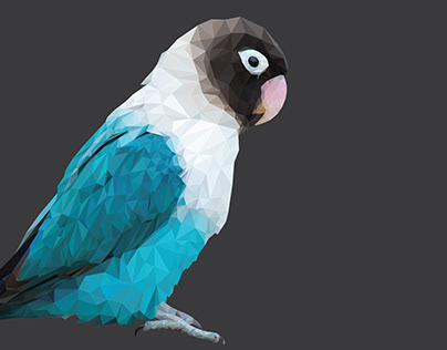 Polyart in Illustrator (Parrot)