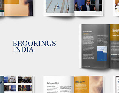 Brookings India Report