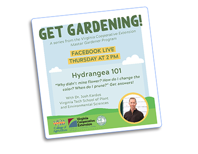 Get Gardening! Facebook Live Series Design