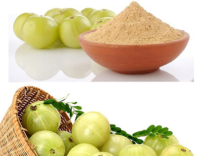 Amla Powder Manufacturers & suppliers in Ahmedabad, IN