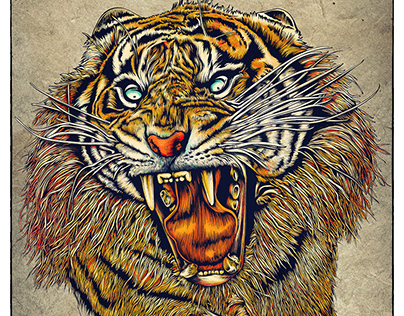 Tiger - Lineart Illustration