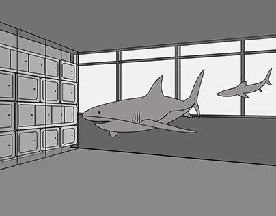 Sharks Indoor
