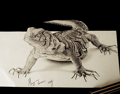 3D Lizard - Pencil drawing