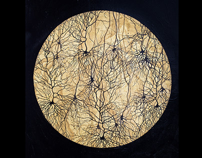Neurons in a Circle I