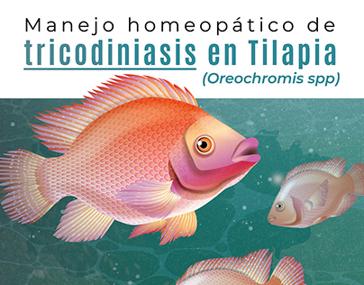 Manejo homeopático de tricodiniasis en Tilapia