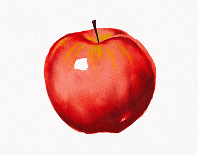 Fruit illustrations