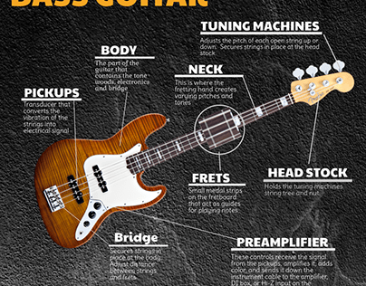 Anatomy of a Bass Guitar