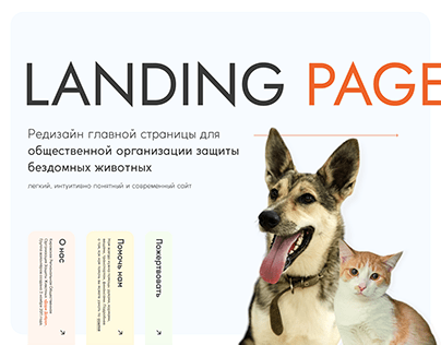 Landing page for homeless animal shelter | web design