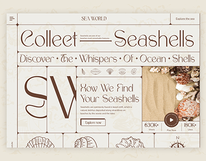 Seashell Website Exploration