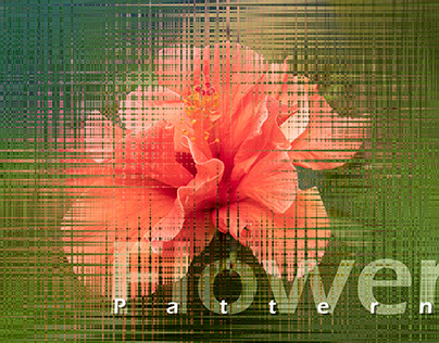 Hibiscus Flower Pattern