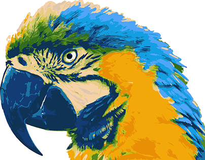 Blue-throated Macaw Vector Art_1