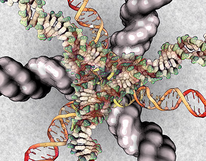 DNA nanostructure