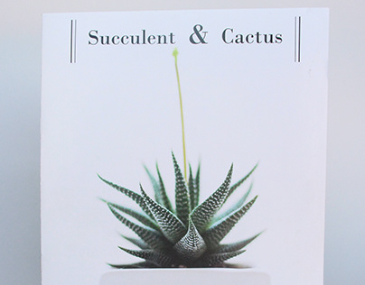 Succulent & Cactus Magazine - Type