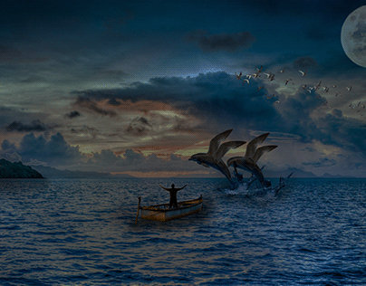 Flying Ocean Dolphins