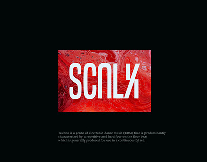 Project thumbnail - Branding | Sculk | DJ music band