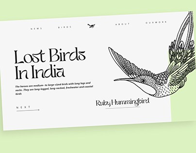 Web design for a company which supports Lost Birds