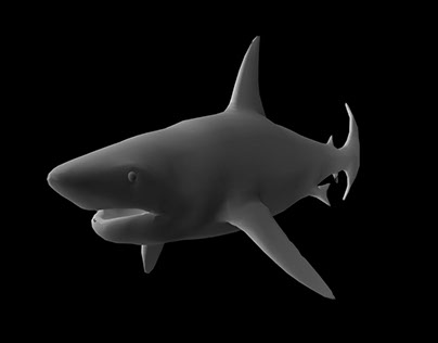 First Organic Modelling: Toothless Shark